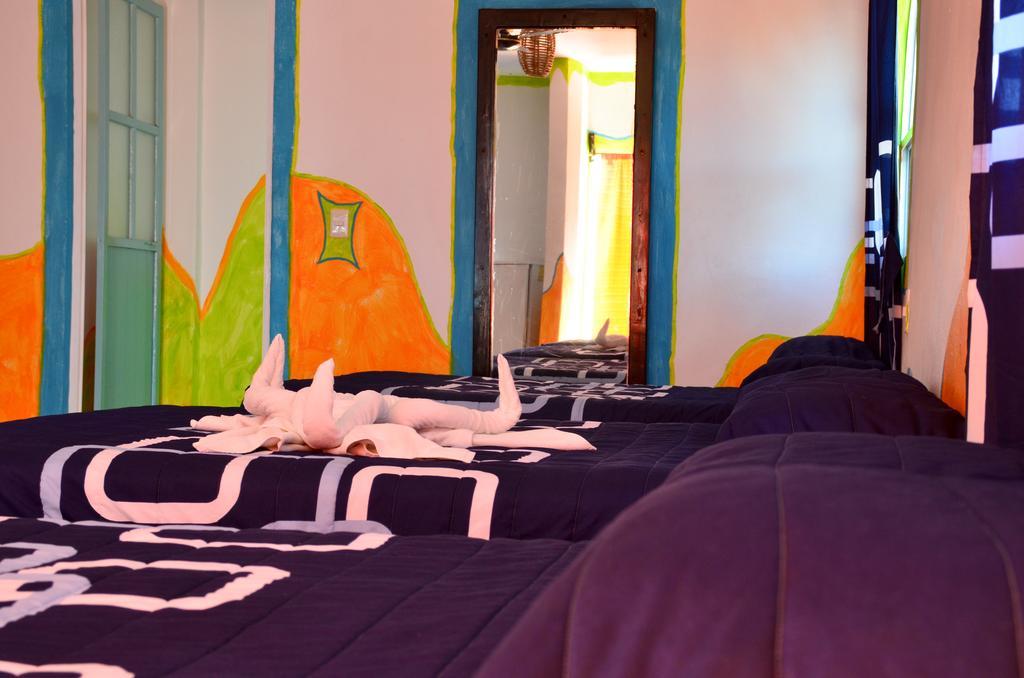 Adventure Experience Hotel 普拉亚卡门 外观 照片